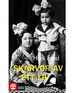 Skärvor av ett liv : vägen till och från Auschwitz