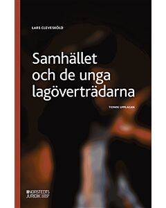 Samhället och de unga lagöverträdarna