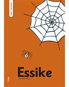 Läsförståelse Essike