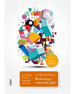Bedömning i matematik pågår!