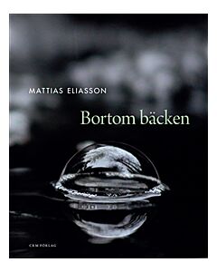 Bortom bäcken