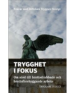 Trygghet i fokus : om stöd till brottsdrabbade och brottsförebyggande arbete