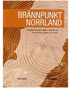Brännpunkt Norrland : perspektiv på en region i förändring