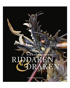 Riddaren och draken : en rekonstruerad historia
