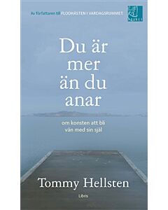 Du är mer än du anar : om konsten att bli vän med sin själ