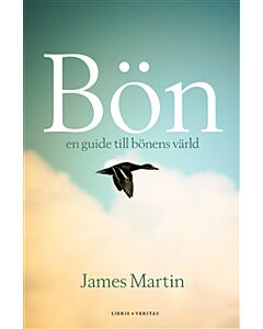 Bön : en guide till bönens värld