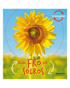 Från frö till solros