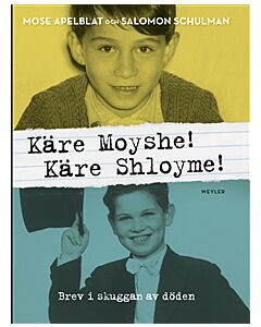Käre Moyshe! Käre Shloyme! : Brev i skuggan av döden