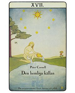 Den hemliga källan : om initiationsmönster i konst, litteratur och politik