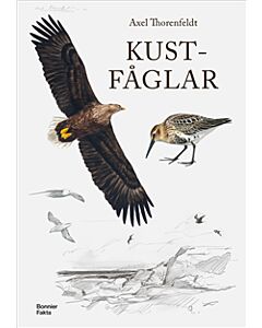 Kustfåglar