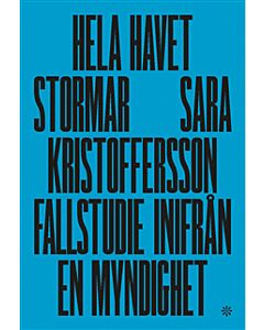 Hela havet stormar : fallstudie inifrån en myndighet