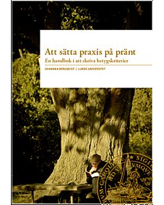 Att sätta praxis på pränt