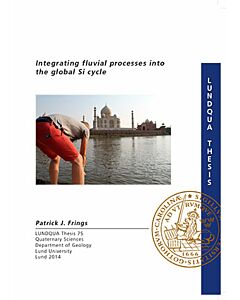 Integrating fluvial processes into the global Si cycle