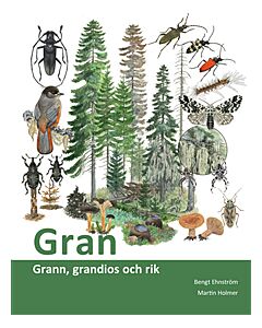 Gran : grann, grandios och rik