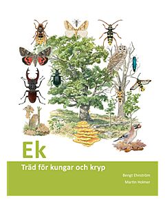Ek : träd för kungar och kryp