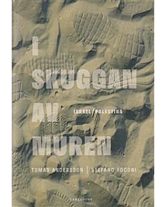 I skuggan av muren : Israel / Palestina