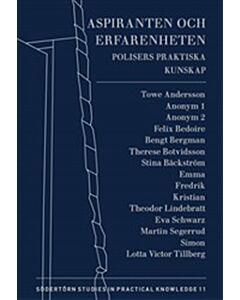 Aspiranten och erfarenheten : Polisers praktiska kunskap