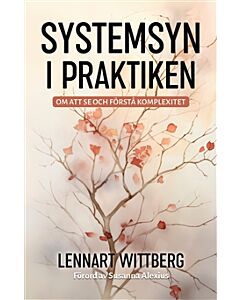 Systemsyn i praktiken