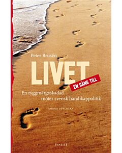 Livet en gång till : en ryggmärgsskadad möter svensk handikappolitik