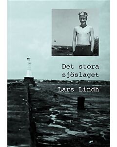 Det stora sjöslaget